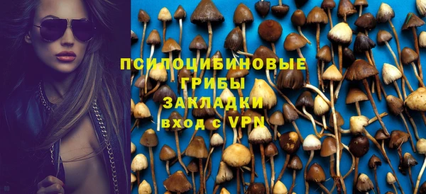 крисы Гусиноозёрск