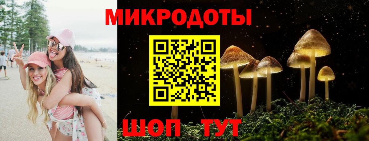 Галлюциногенные грибы Cubensis  Галлюциногенные грибы мухоморы  Зеленогорск  Вход с VPN 