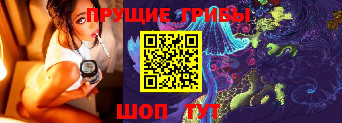 Псилоцибиновые грибы прущие грибы Зеленогорск